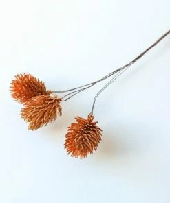 Bungalow DK Wired Decorative Dried Flower Bunch Long