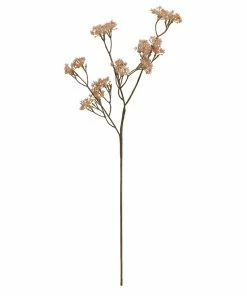 Bungalow DK Cornelian Cherry Flower Rose