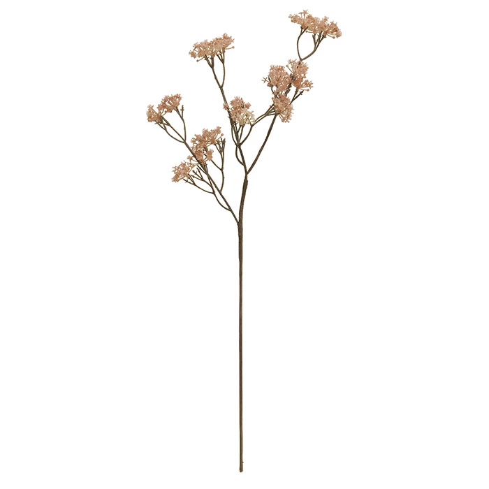 Bungalow DK Cornelian Cherry Flower Rose 3 Bungalow DK Cornelian Cherry Flower Rose