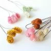 Bungalow DK Wired Decorative Dried Flower Bunch Long 1 Bungalow DK Wired Decorative Dried Flower Bunch Long