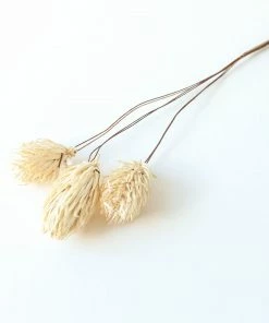 Bungalow DK Wired Decorative Dried Flower Bunch Long