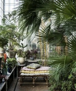 Bungalow DK 55x150cm Rose Mirra Mattress