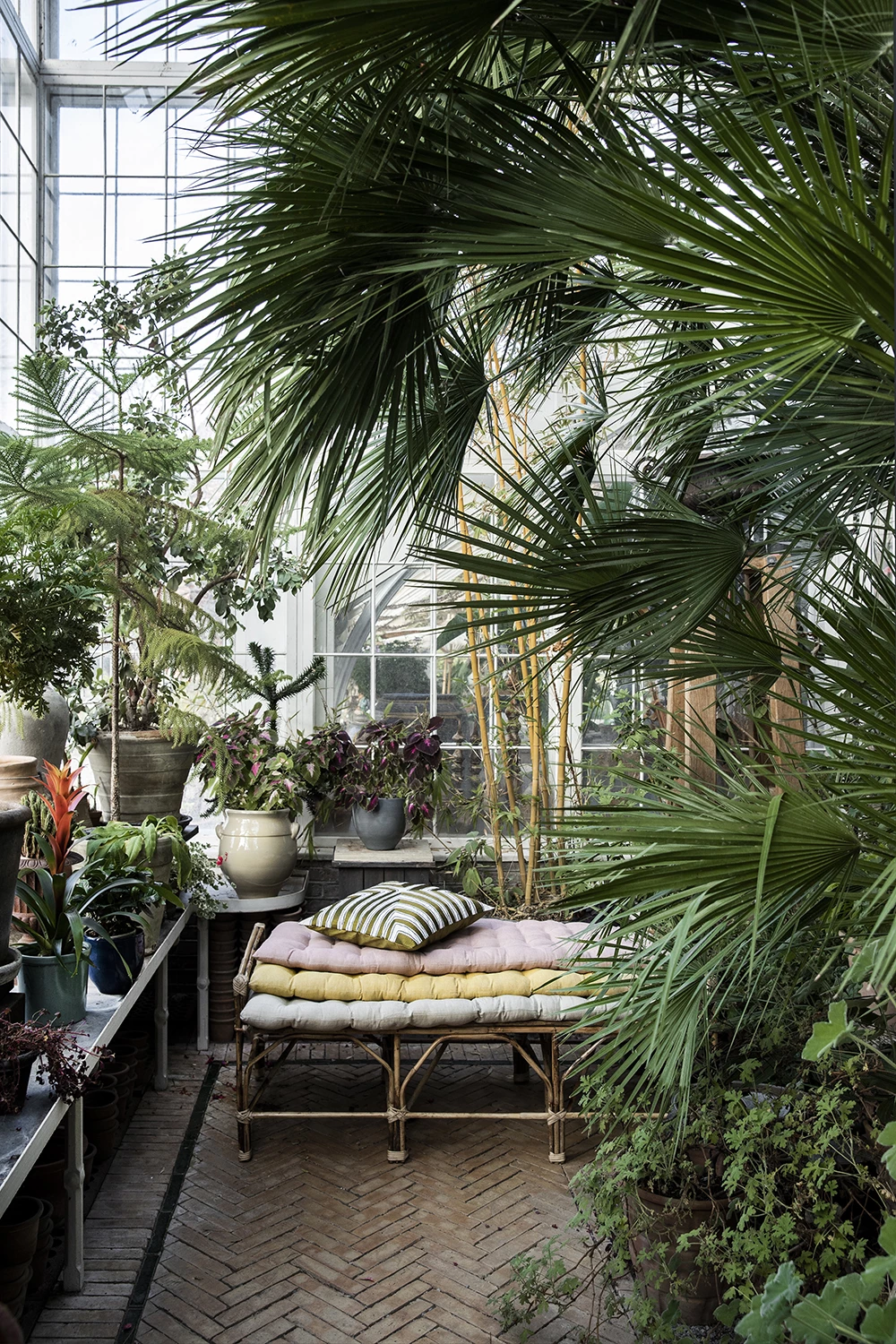 Bungalow DK 55x150cm Rose Mirra Mattress 4 Bungalow DK 55x150cm Rose Mirra Mattress